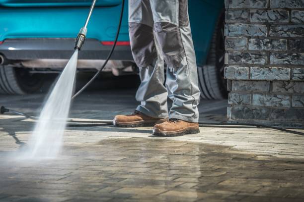 Best Pre-Holiday Cleaning  in Clara City, MN