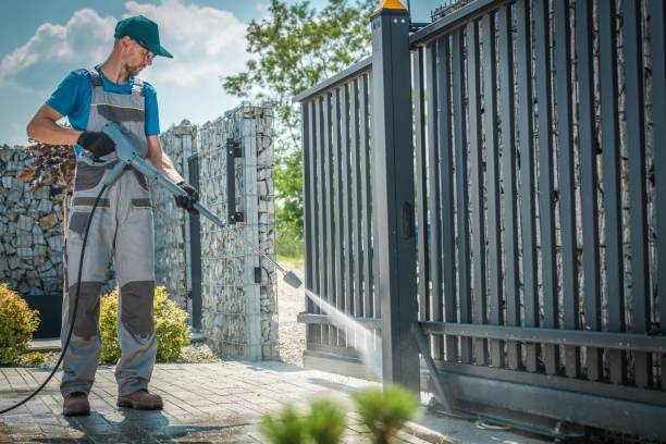 Best Solar Panel Cleaning  in Clara City, MN