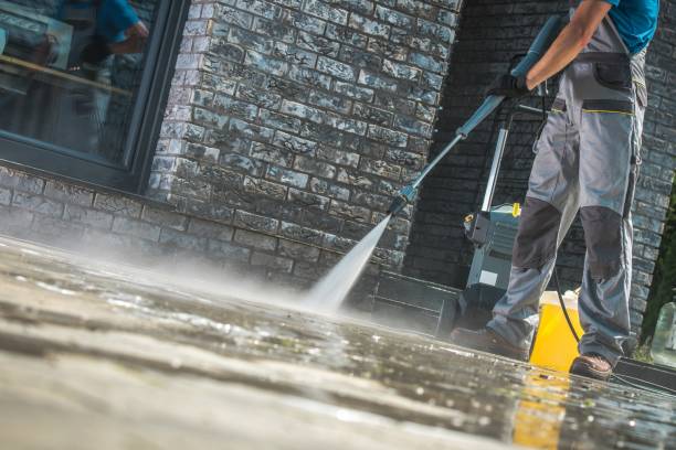 Best Dumpster Area Cleaning  in Clara City, MN
