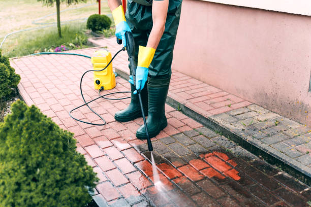 Best Fence Cleaning  in Clara City, MN