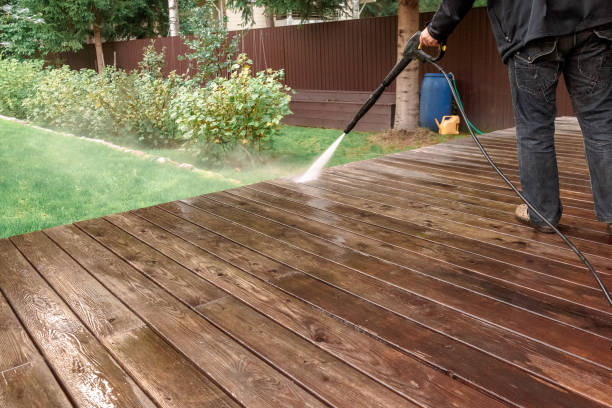 Best Soft Washing  in Clara City, MN