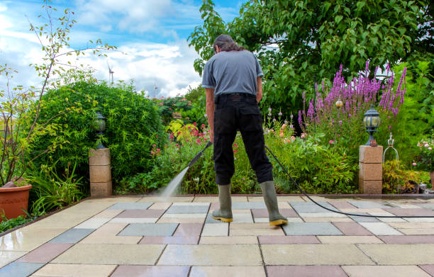 Best Sidewalk and Walkway Cleaning  in Clara City, MN