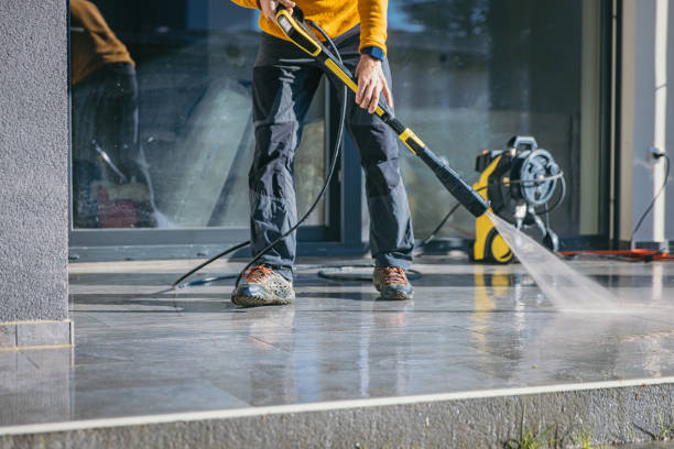 Best Gutter Cleaning  in Clara City, MN