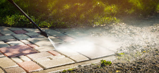 Best Building Exterior Washing  in Clara City, MN